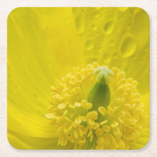 Dessous De Verre Carré Pavot jaune oriental