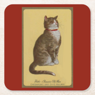 Dessous De Verre Carré Peake, le chat tabby de Chessie