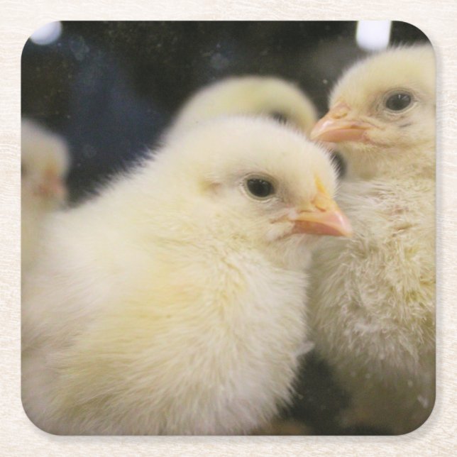 Dessous De Verre Carré Peeps (Devant)