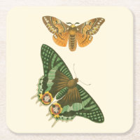 Peinture à papillon légèrement frontière