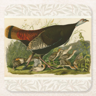 Dessous De Verre Carré Peinture d'oiseaux sauvages de Turquie Audubon