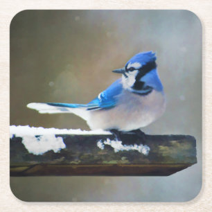 Dessous De Verre Carré Peinture Jay Bleu - Art Oiseau Original