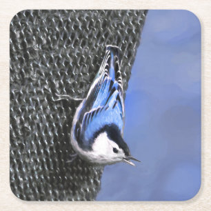 Dessous De Verre Carré Peinture Nuthatch à poitrine blanche Art original