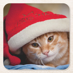 Dessous De Verre Carré Petit chaton dans le casquette rouge de Noël