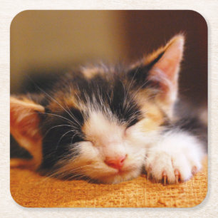 Dessous De Verre Carré Petit sommeil de Kitty
