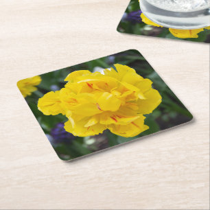Dessous De Verre Carré Petites tulipes jaunes dans le jardin