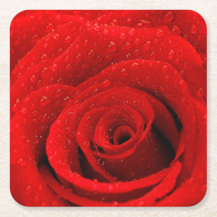 Dessous De Verre Carré Photo d'arrière - plan de rose rouge