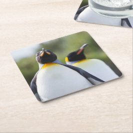 Dessous De Verre Carré Photo de pingouins roi Fiers
