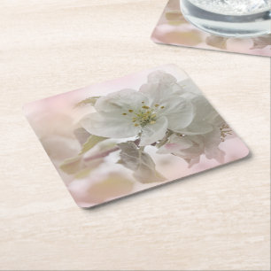 Dessous De Verre Carré Photo en fleurs de pomme blanche