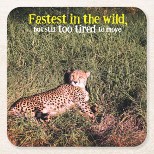 Dessous De Verre Carré Photo Lazy cheetah