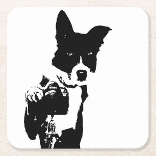 Dessous De Verre Carré Photographe canin