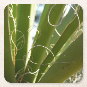 Dessous De Verre Carré Photographie de la nature verte Feuille du Yucca