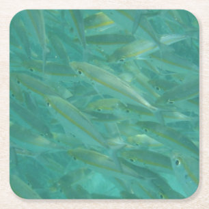 Dessous De Verre Carré Photos de poissons sous-marins