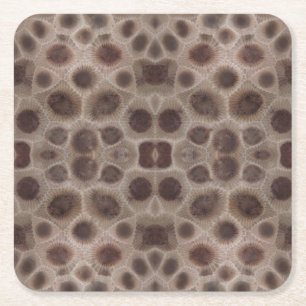 Dessous De Verre Carré Pierre de Petoskey Michigan État fossile de pierre