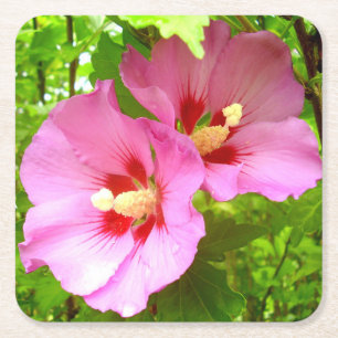 Dessous De Verre Carré Pink Hibiscus Paper Coaster