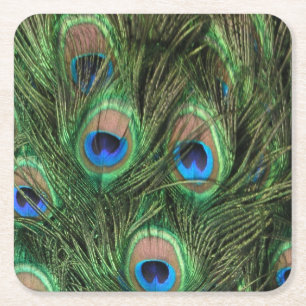 Dessous De Verre Carré Plumes de paon