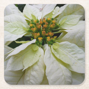 Dessous De Verre Carré Poinsettia Elegant Christmas Holiday Floral