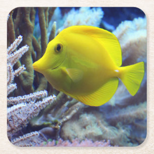 Dessous De Verre Carré Poisson de Tang Jaune
