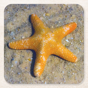Dessous De Verre Carré Poisson étoilée dans le sable