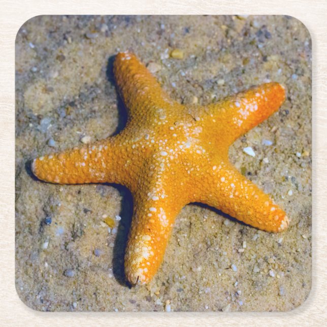 Dessous De Verre Carré Poisson étoilée dans le sable (Devant)