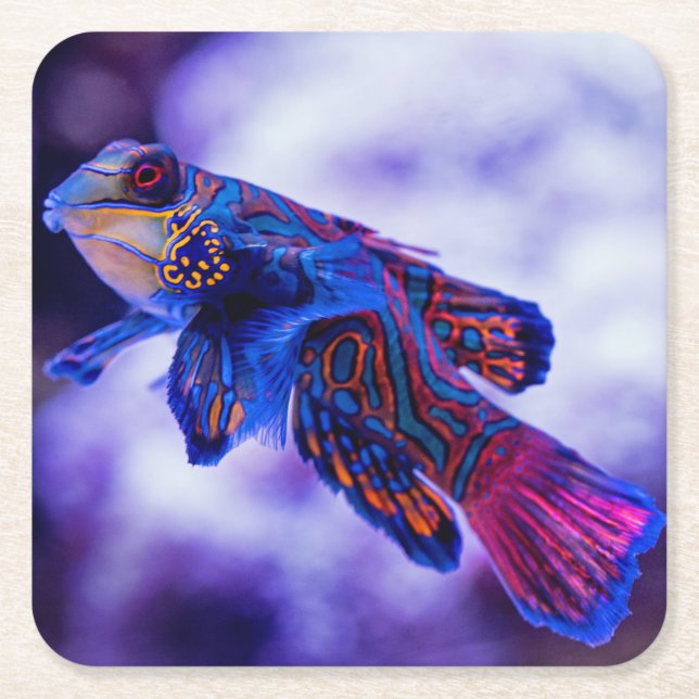 Dessous De Verre Carré Poisson Mandarin Goby (Devant)