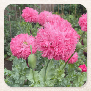 Dessous De Verre Carré Poppies Pom Pom Rose