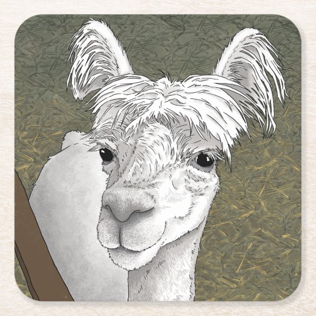 Dessous De Verre Carré Portrait Alpaca 2 (Devant)