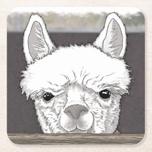 Dessous De Verre Carré Portrait d'Alpaca