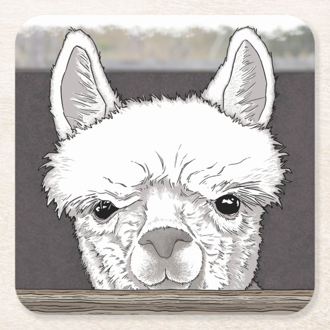 Dessous De Verre Carré Portrait d'Alpaca (Devant)