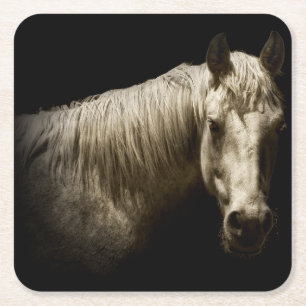 Dessous De Verre Carré Portrait VI de cheval