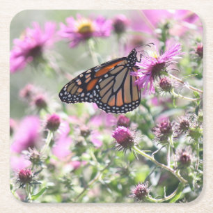 Dessous De Verre Carré Pré papillon