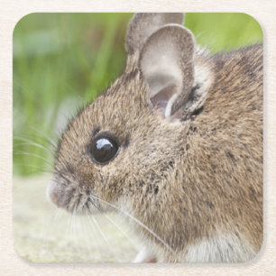 Dessous De Verre Carré Profil de la souris