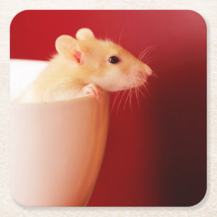 Dessous De Verre Carré Rat de bébé