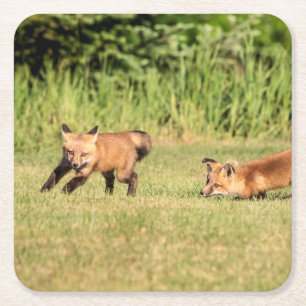 Dessous De Verre Carré Red Fox Kits Jouer