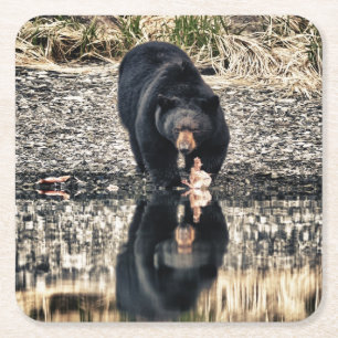 Dessous De Verre Carré Réflexions de l'ours noir