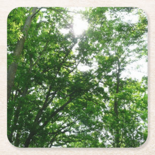Dessous De Verre Carré Regard sur les arbres d'été