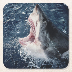 Dessous De Verre Carré Requin élevé bouche ouverte