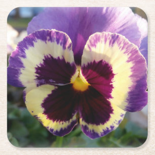 Dessous De Verre Carré ressort coloré Pansy