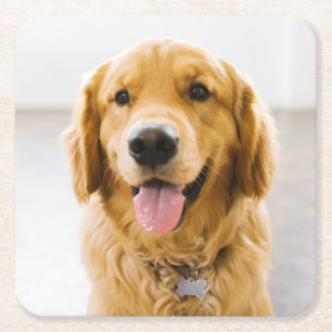 Dessous De Verre Carré Retriever d'or souriant