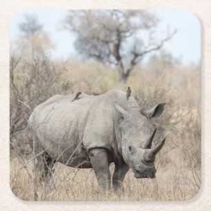 Dessous De Verre Carré Rhino blanc