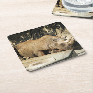 Dessous De Verre Carré Rhino couché