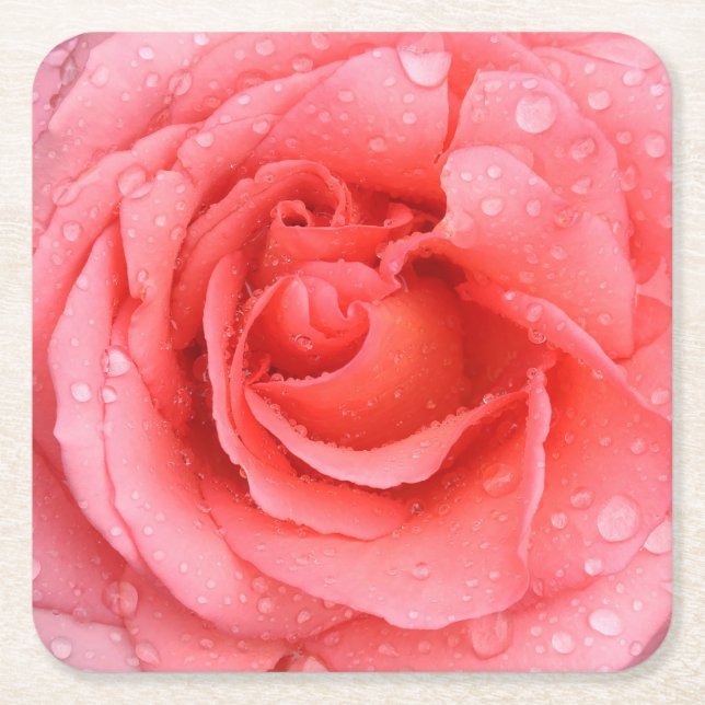 Dessous De Verre Carré Romantique Rose rose rouge gouttes d'eau (Devant)