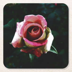 Dessous De Verre Carré rose