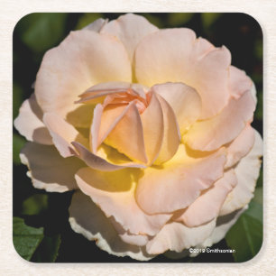 Dessous De Verre Carré Rose de thé