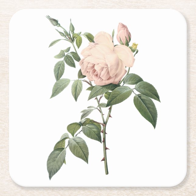 Dessous De Verre Carré rose de thé parfumé par Redouté (Devant)
