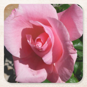 Dessous De Verre Carré Rose III Jardin Floral