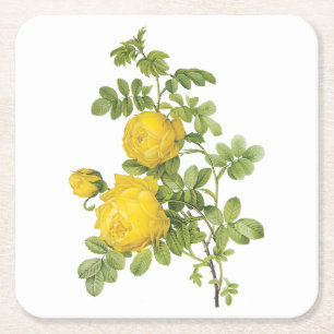 Dessous De Verre Carré rose jaune (Rosa sulfurea) par Redouté