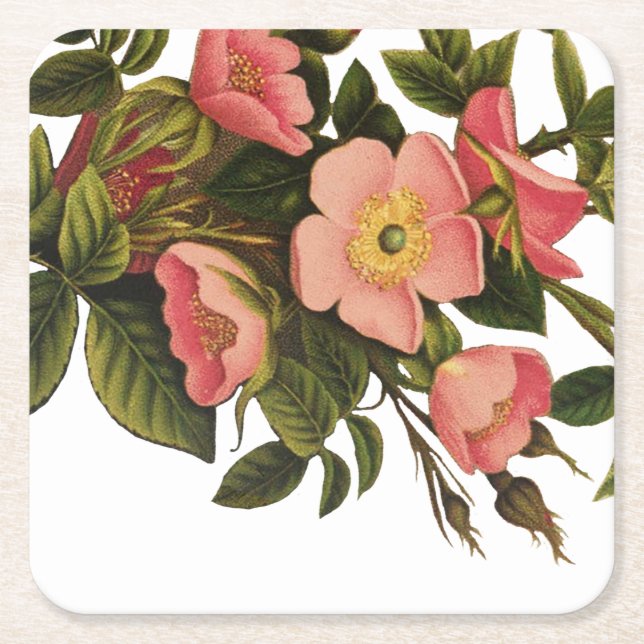 Dessous De Verre Carré Roses Anciennes Belles Fleurs Botaniques Roses (Devant)