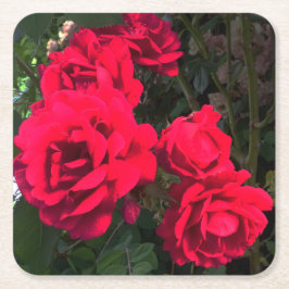 Dessous De Verre Carré Roses rouges florissantes