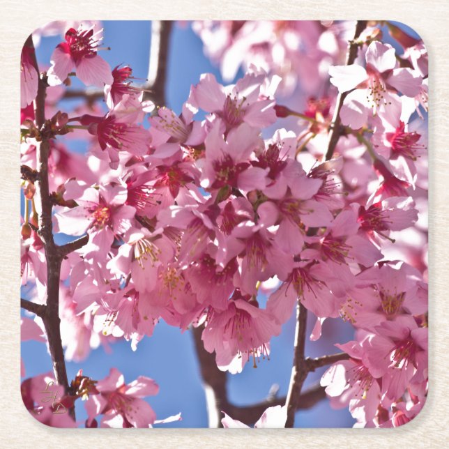 Dessous De Verre Carré Sakura Cherry Blossoms Red Stars (Devant)